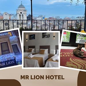 Mr Lion Kumkapi Otel
